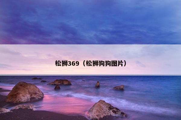 松狮369（松狮狗狗图片）