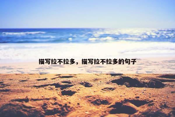描写拉不拉多，描写拉不拉多的句子
