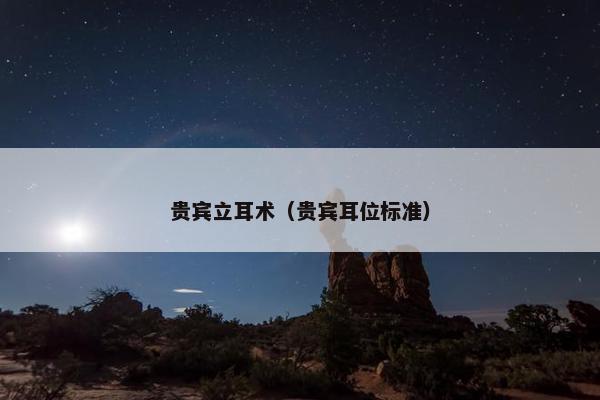 贵宾立耳术（贵宾耳位标准）