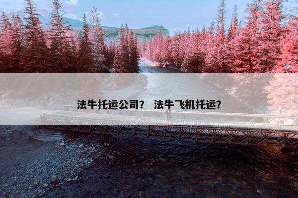 法牛托运公司？ 法牛飞机托运？