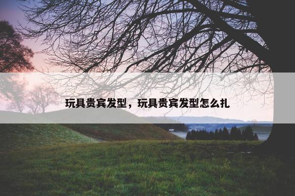 玩具贵宾发型，玩具贵宾发型怎么扎