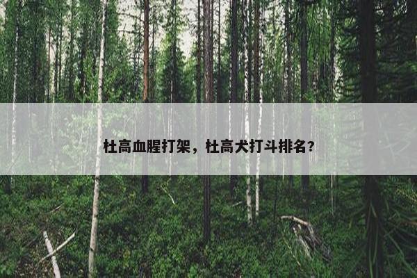 杜高血腥打架，杜高犬打斗排名?