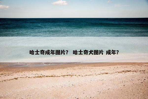 哈士奇成年图片？ 哈士奇犬图片 成年？