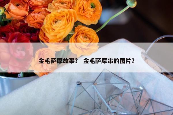 金毛萨摩故事？ 金毛萨摩串的图片？