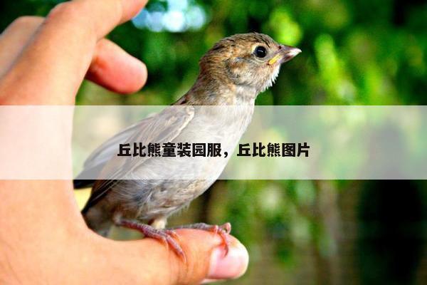 比熊 第40页