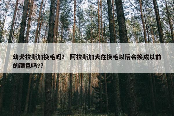 幼犬拉斯加换毛吗？ 阿拉斯加犬在换毛以后会换成以前的颜色吗?？
