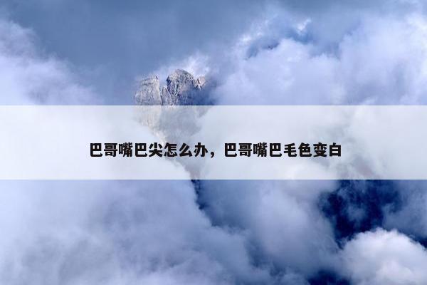 清洁