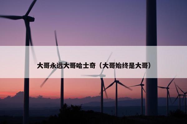 大哥永远大哥哈士奇（大哥始终是大哥）