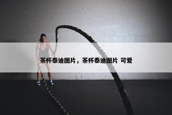 茶杯泰迪图片，茶杯泰迪图片 可爱