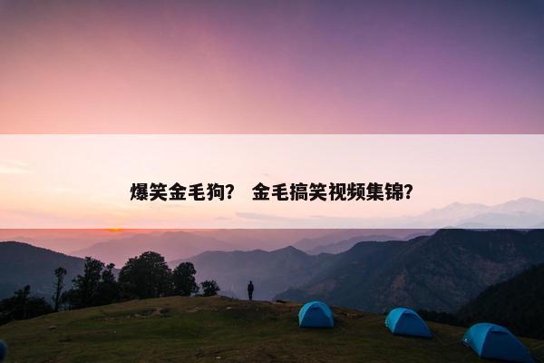 爆笑金毛狗？ 金毛搞笑视频集锦？
