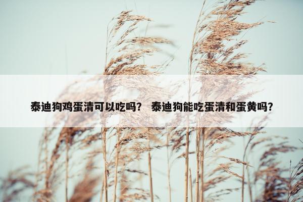 泰迪狗鸡蛋清可以吃吗？ 泰迪狗能吃蛋清和蛋黄吗？