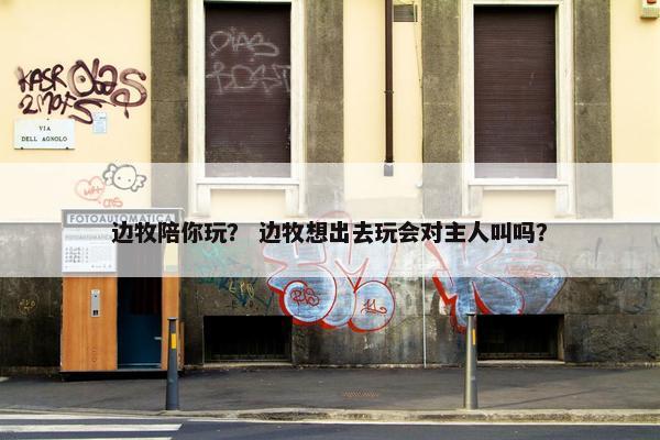 边牧陪你玩？ 边牧想出去玩会对主人叫吗？