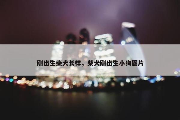 刚出生柴犬长样，柴犬刚出生小狗图片