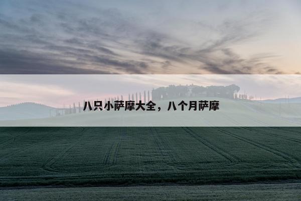 小萨