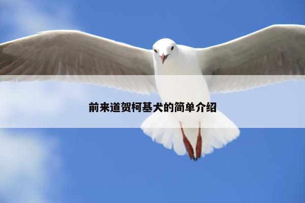隐藏