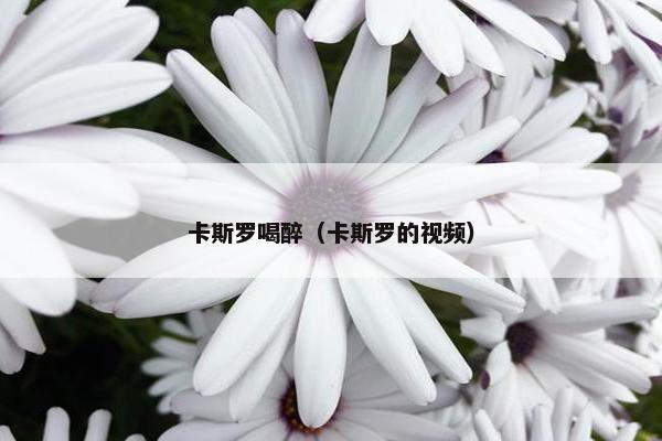 卡斯罗喝醉（卡斯罗的视频）