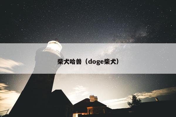 柴犬哈兽（doge柴犬）