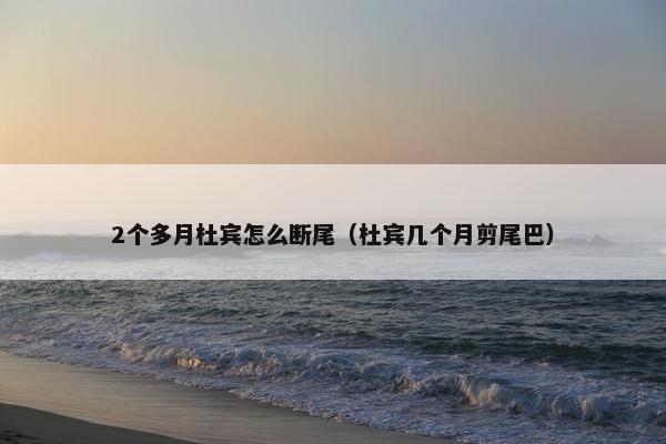 2个多月杜宾怎么断尾（杜宾几个月剪尾巴）