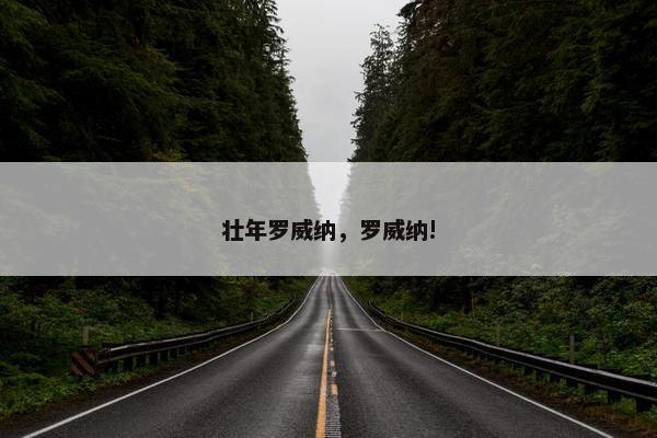 壮年罗威纳，罗威纳!