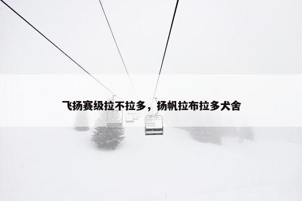 飞扬赛级拉不拉多，扬帆拉布拉多犬舍
