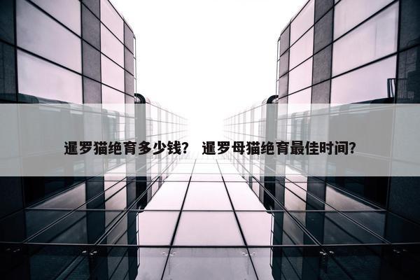 暹罗猫绝育多少钱？ 暹罗母猫绝育最佳时间？