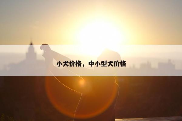 小犬价格，中小型犬价格