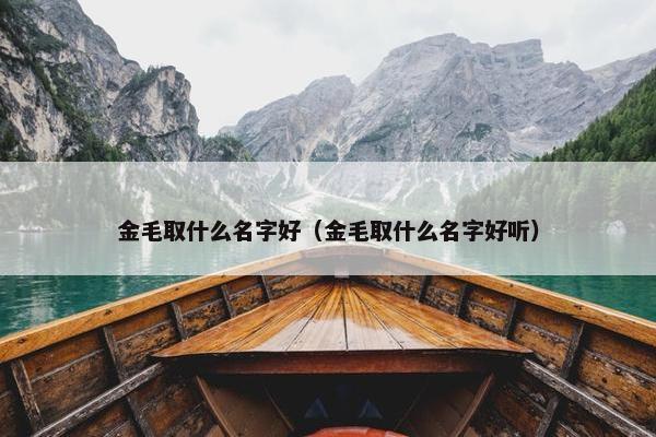 金毛取什么名字好（金毛取什么名字好听）