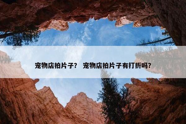 宠物店拍片子？ 宠物店拍片子有打折吗？