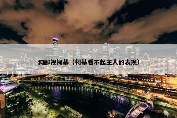 狗鄙视柯基（柯基看不起主人的表现）