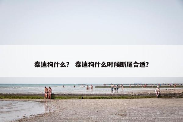 泰迪狗什么？ 泰迪狗什么时候断尾合适？