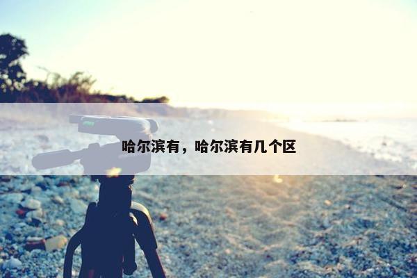 哈尔滨有，哈尔滨有几个区