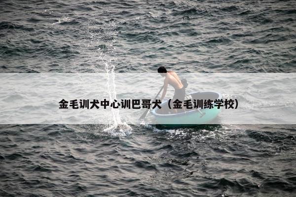 金毛训犬中心训巴哥犬（金毛训练学校）
