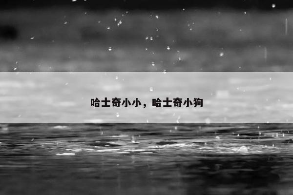 哈士奇 第17页
