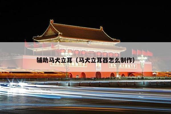 辅助马犬立耳（马犬立耳器怎么制作）