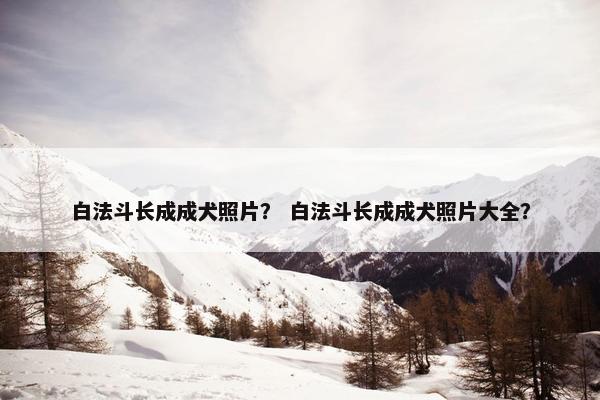白法斗长成成犬照片？ 白法斗长成成犬照片大全？
