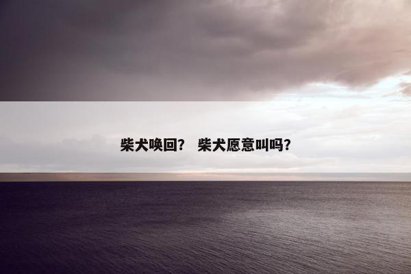 柴犬唤回？ 柴犬愿意叫吗？