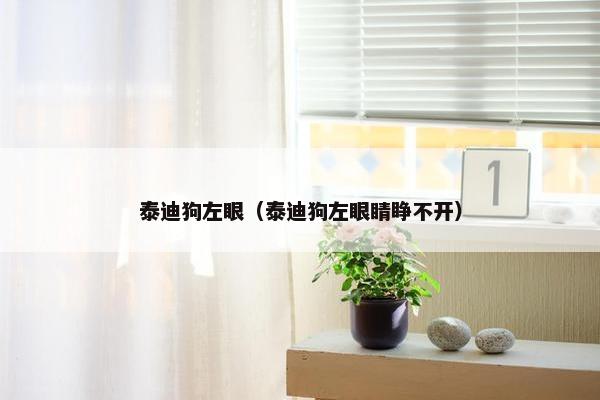 泰迪狗左眼（泰迪狗左眼睛睁不开）