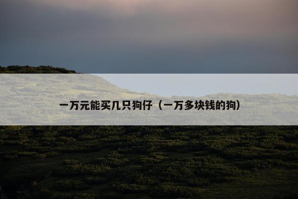 棒棒