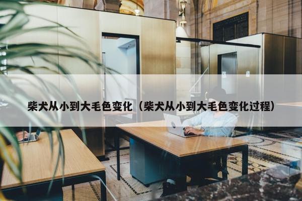 柴犬从小到大毛色变化（柴犬从小到大毛色变化过程）