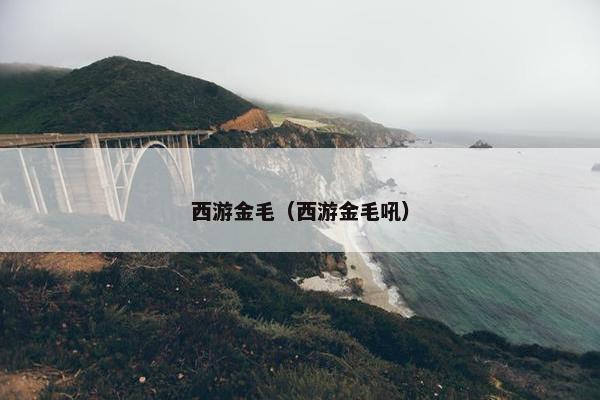 龙珠