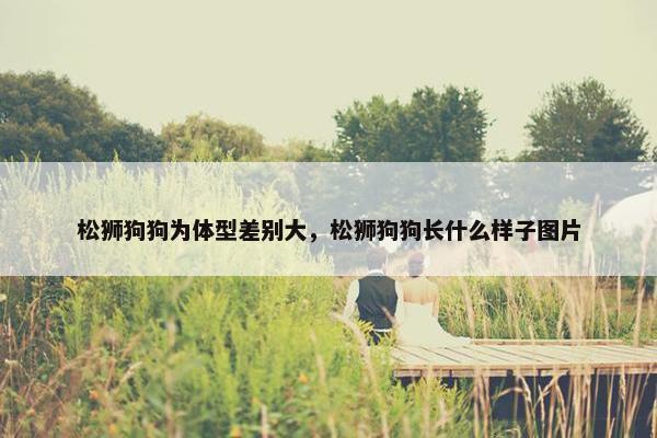松狮狗狗为体型差别大，松狮狗狗长什么样子图片