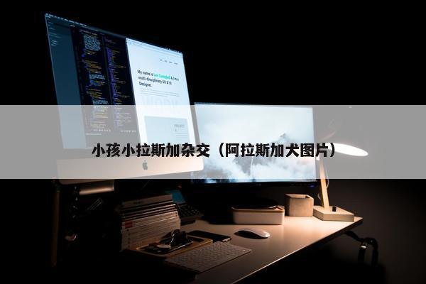 小孩小拉斯加杂交（阿拉斯加犬图片）