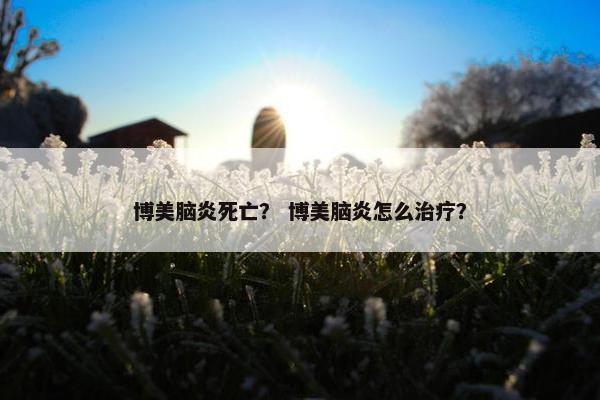 博美脑炎死亡？ 博美脑炎怎么治疗？