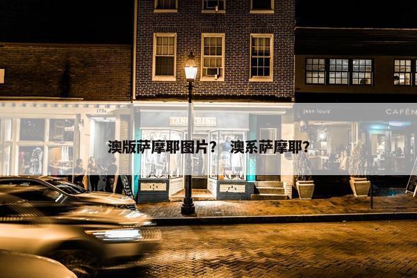 澳版萨摩耶图片？ 澳系萨摩耶？