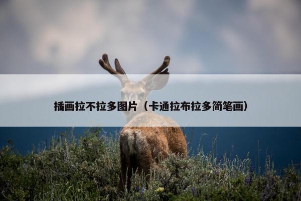 插画拉不拉多图片（卡通拉布拉多简笔画）
