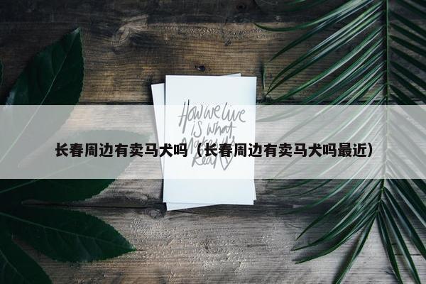 长春周边有卖马犬吗（长春周边有卖马犬吗最近）