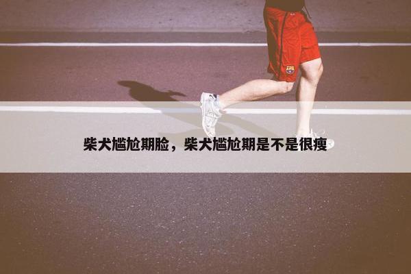 柴犬尴尬期脸，柴犬尴尬期是不是很瘦