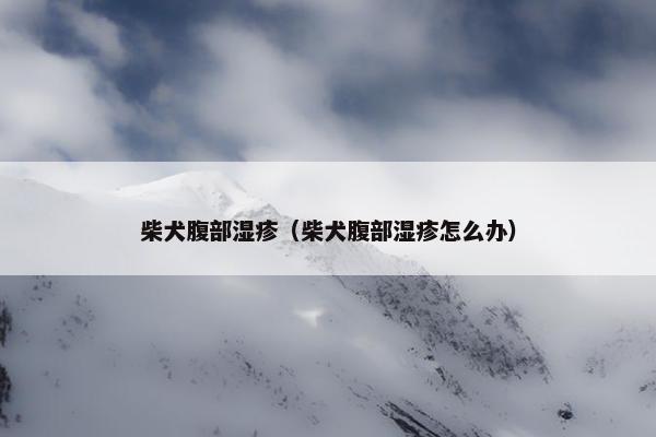 柴犬腹部湿疹（柴犬腹部湿疹怎么办）