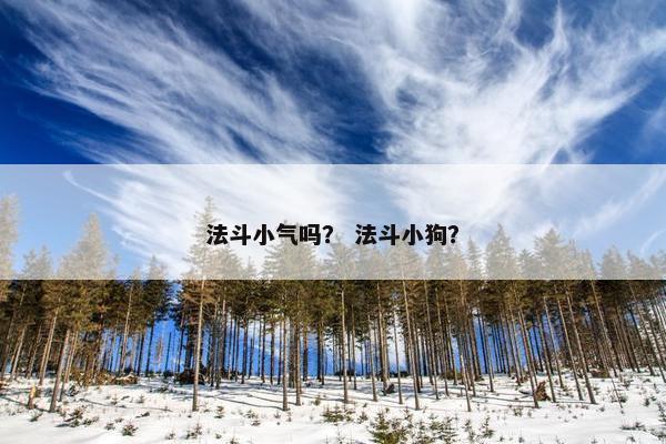 法斗小气吗？ 法斗小狗？