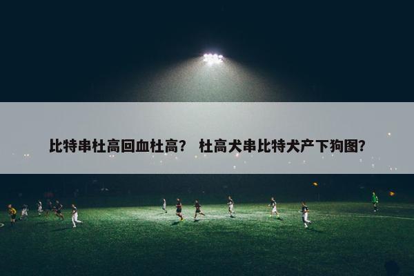 比特串杜高回血杜高？ 杜高犬串比特犬产下狗图？